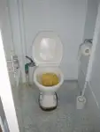 Palangrero en venta