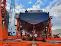 Buque granelero en venta