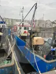 Portador de peces vivos en venta