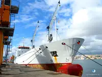 Barco frigorífico en venta