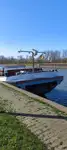 Buque granelero en venta