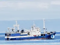 Arrastrero en venta