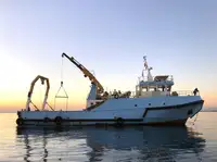 Barcos de trabajo en venta