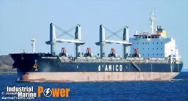 Buque granelero en venta