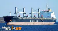 Buque granelero en venta
