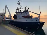 Buque granelero en venta