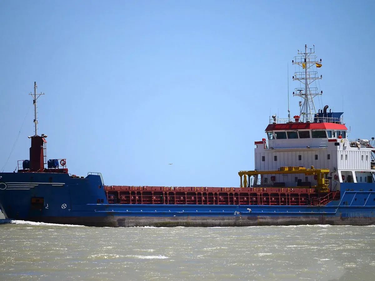 General Cargo/Multi-purpose en venta