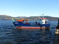 Barcos de trabajo en venta