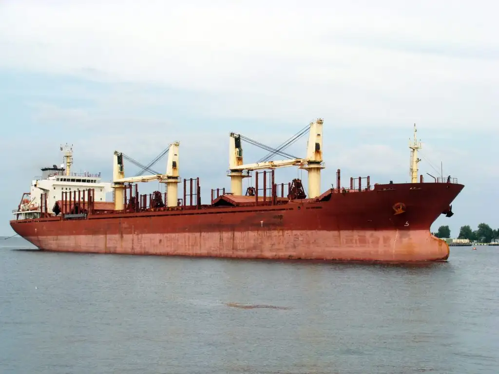 Buque granelero en venta