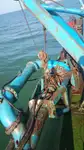 Dragado en venta