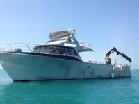 Barcos de trabajo en venta
