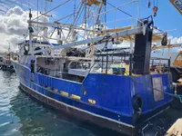 Arrastrero en venta