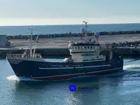 Arrastrero en venta