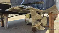Catamarán en venta
