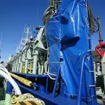 Purse seiner en venta