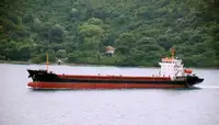 Granelero en venta