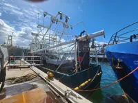 Arrastrero en venta