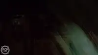 Arrastrero en venta