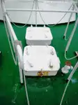 Barco piloto en venta