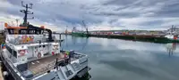 Catamarán en venta