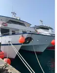 Catamarán en venta