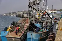 Arrastrero de cerco en venta