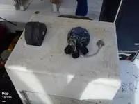 Arrastrero en venta