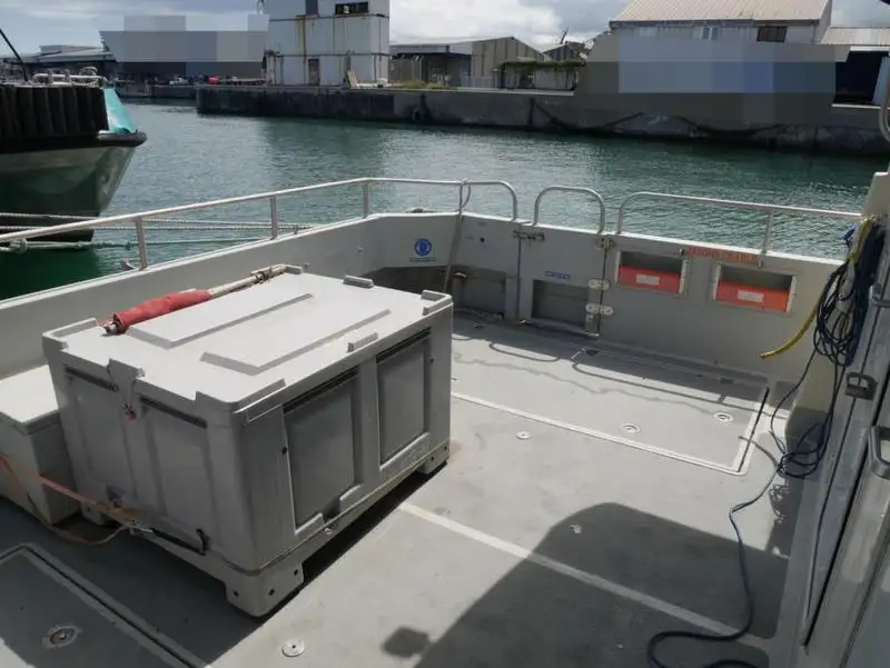 Catamarán en venta