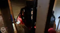 Arrastrero en venta
