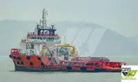 Barco de suministro en venta