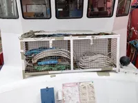 Buque de prospección en venta
