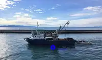 Arrastrero de viga en venta