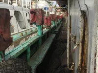 Calamarero en venta