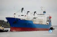 Buque frigorífico en venta