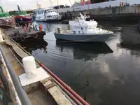 Lancha piloto en venta
