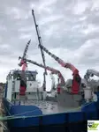 Arrastrero en venta