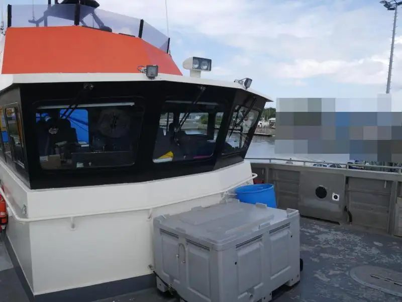 Catamarán en venta