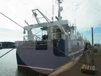 Arrastrero en venta