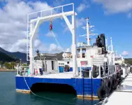 Catamarán en venta