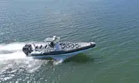 Bote inflable rígido en venta