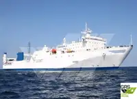 Ro-Ro ship en venta
