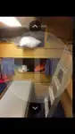 Arrastrero de viga en venta