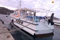 Buque de ferry en venta