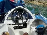 Buque de crucero en venta