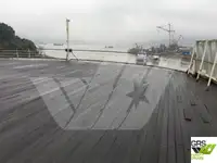 Buque de crucero en venta