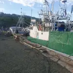 Arrastrero en venta