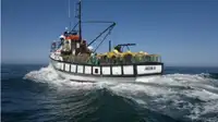 Trawler en venta