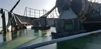 Buque granelero en venta