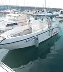 Buque de crucero en venta