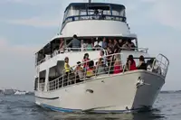 Buque de pasajeros en venta